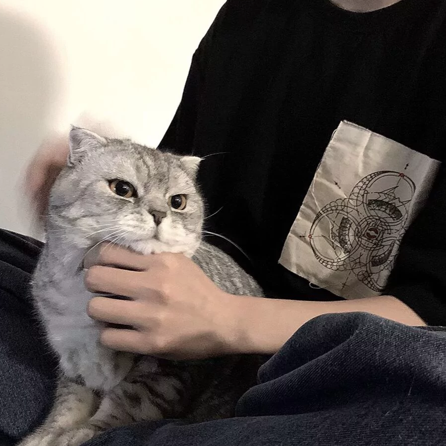 ks.光神