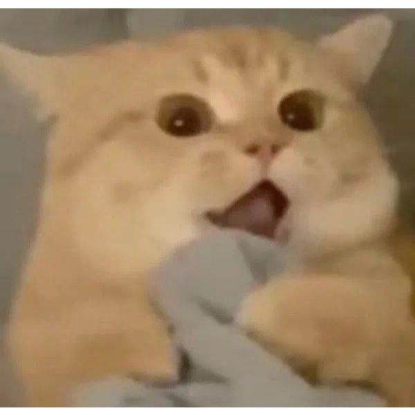 七