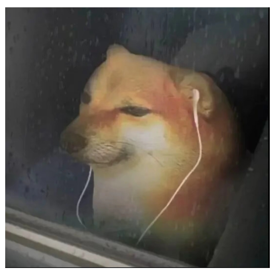 里糖丁真