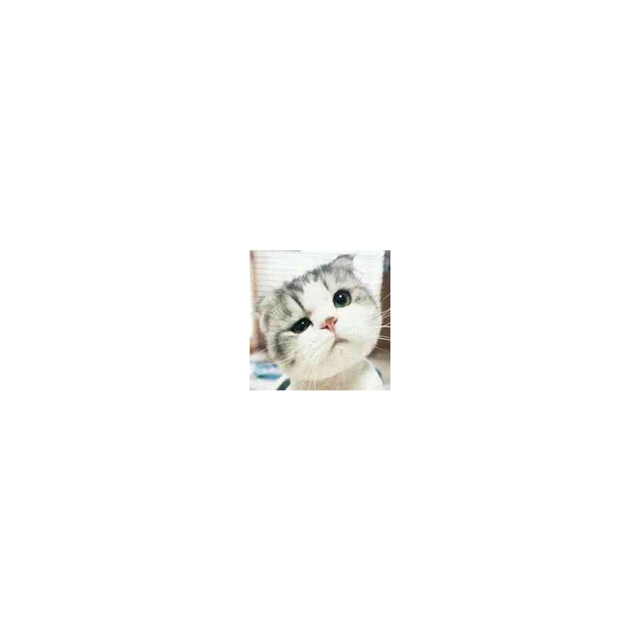 ID不详