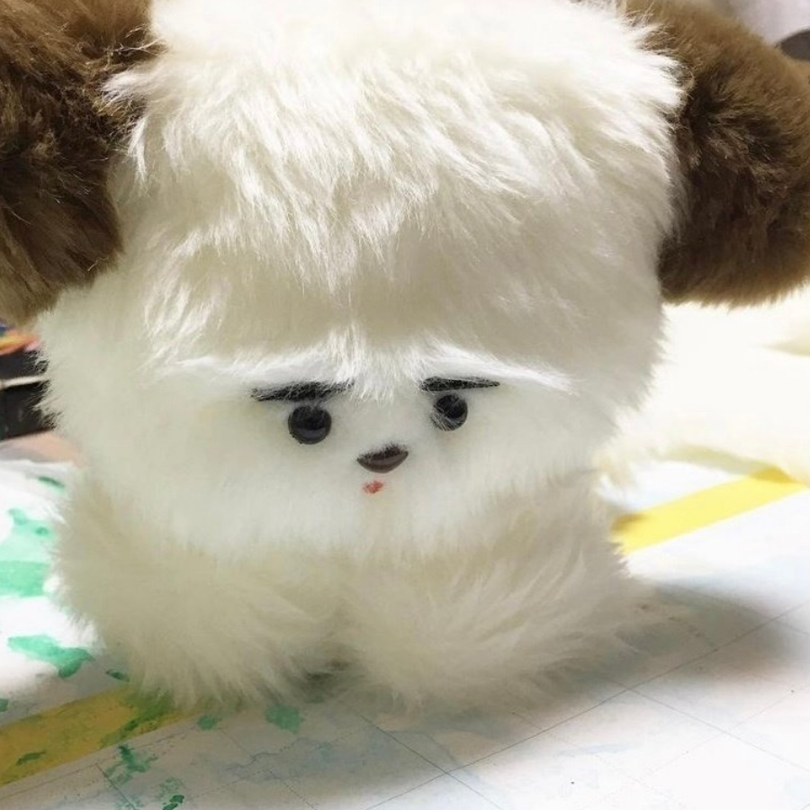 傅婵珂樰