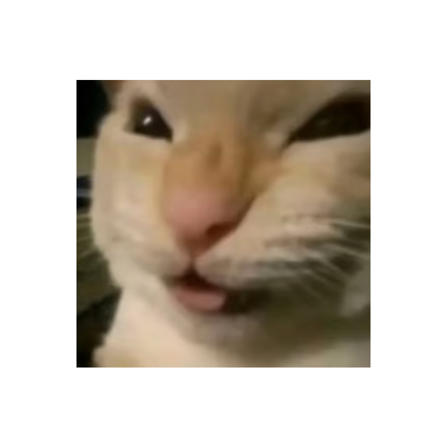 透光水
