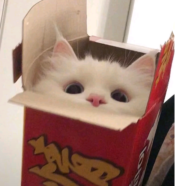荒谬