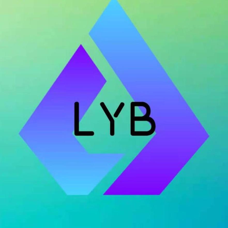 LYB战队