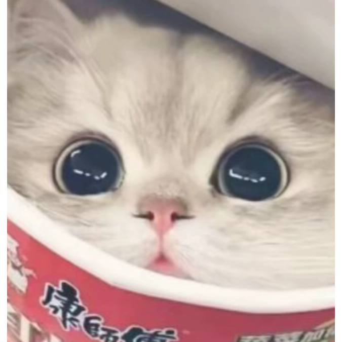 抑郁小猫^