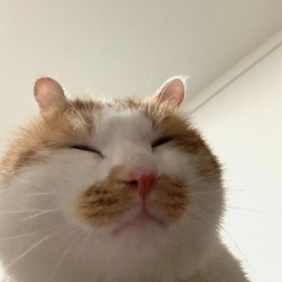 里渣
