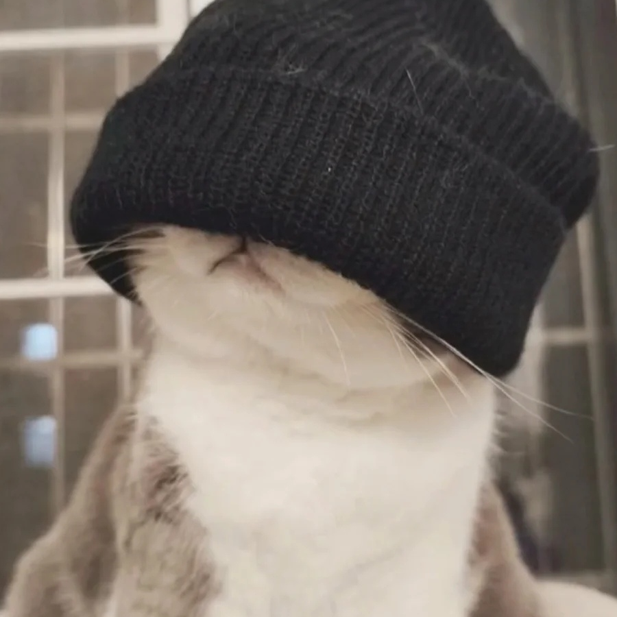 摆摆来也