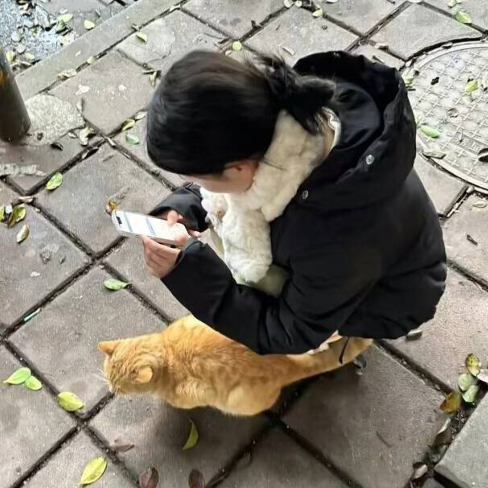 鱼糯糯