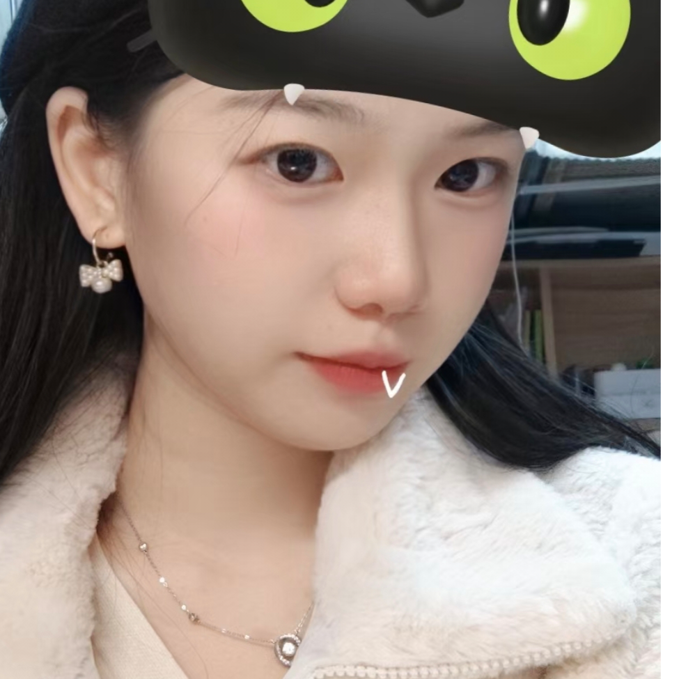 LSJ一955WLB