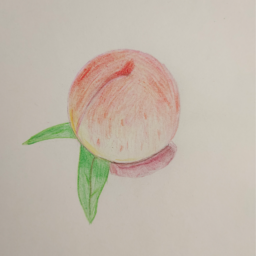 毛毛通关中