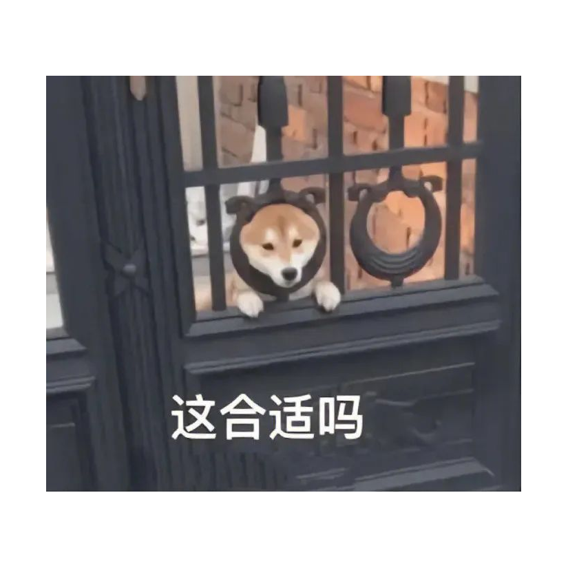 秋秋