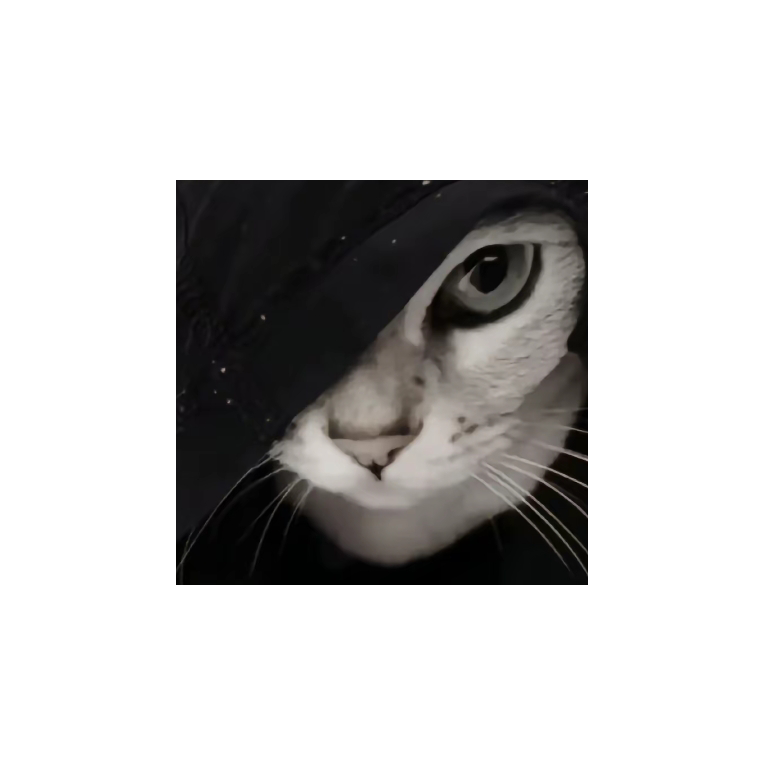 黑夜中的黎明
