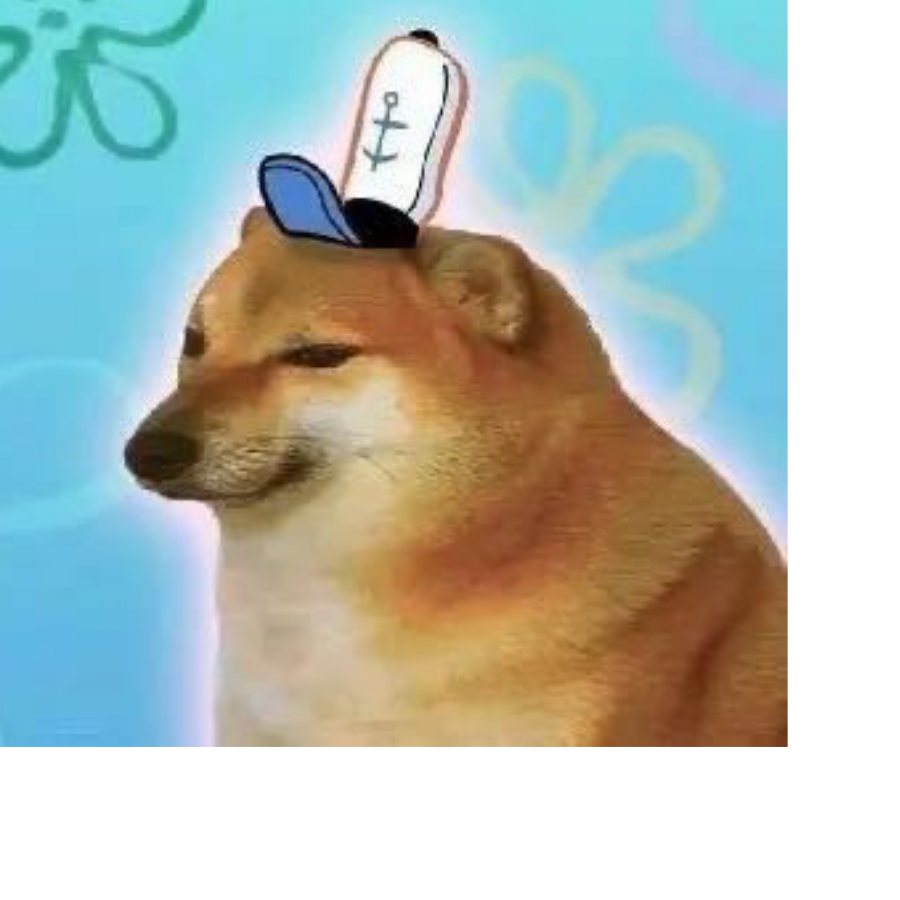 好次的泡芙饼干