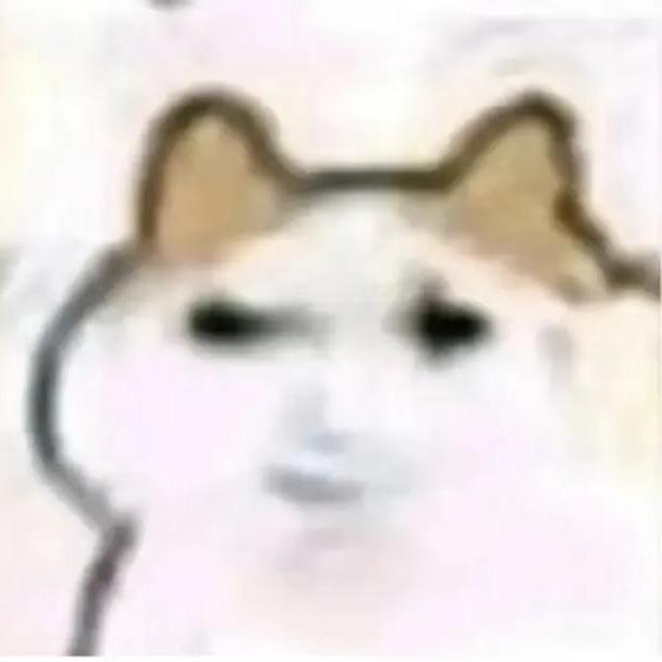我滴兔子呢