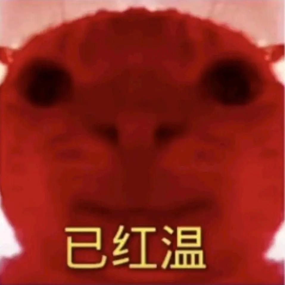 狗宽
