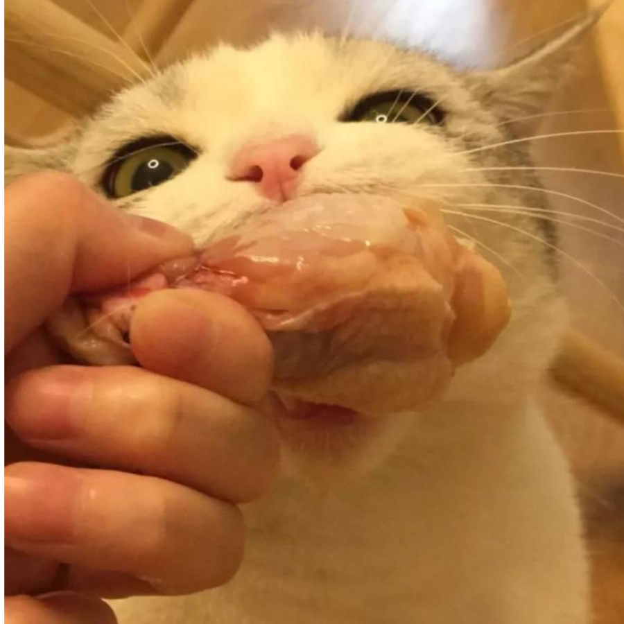 江南