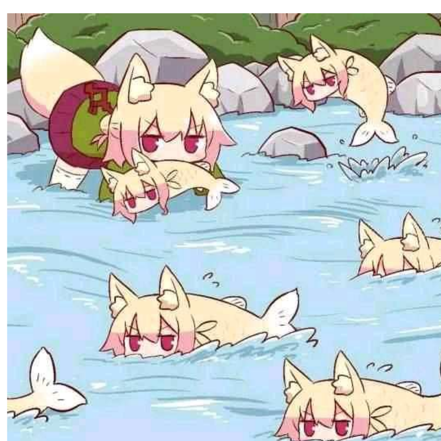 猫猫鱼