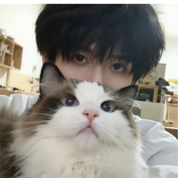 猫老大第一