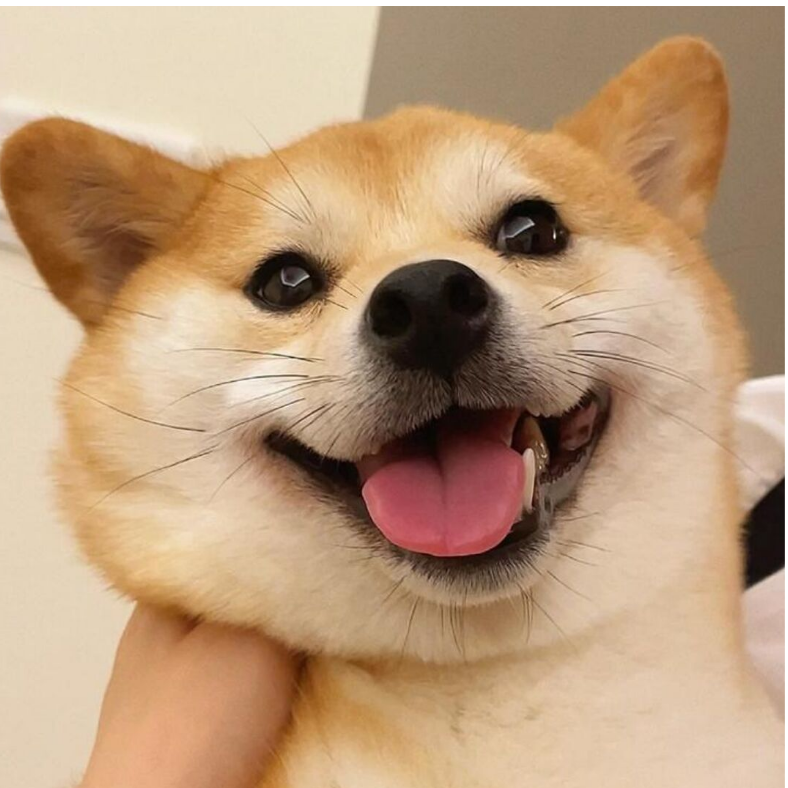 你隔壁的死侍