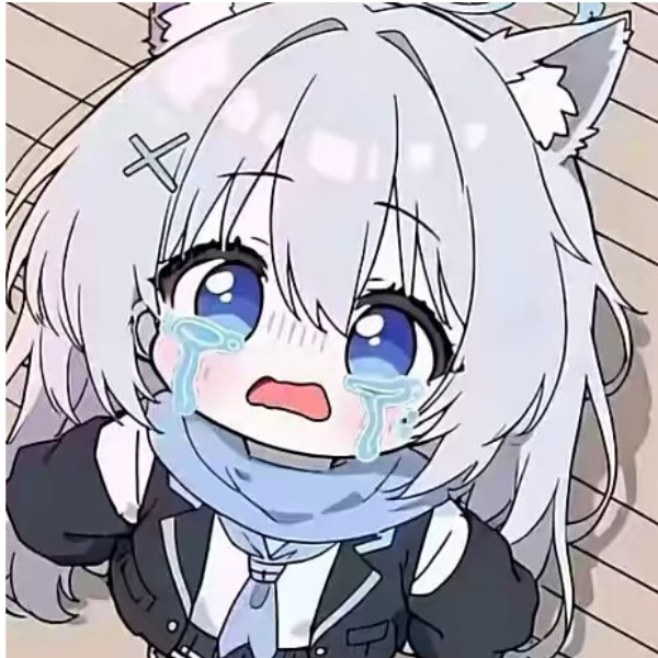 手机用户68593052