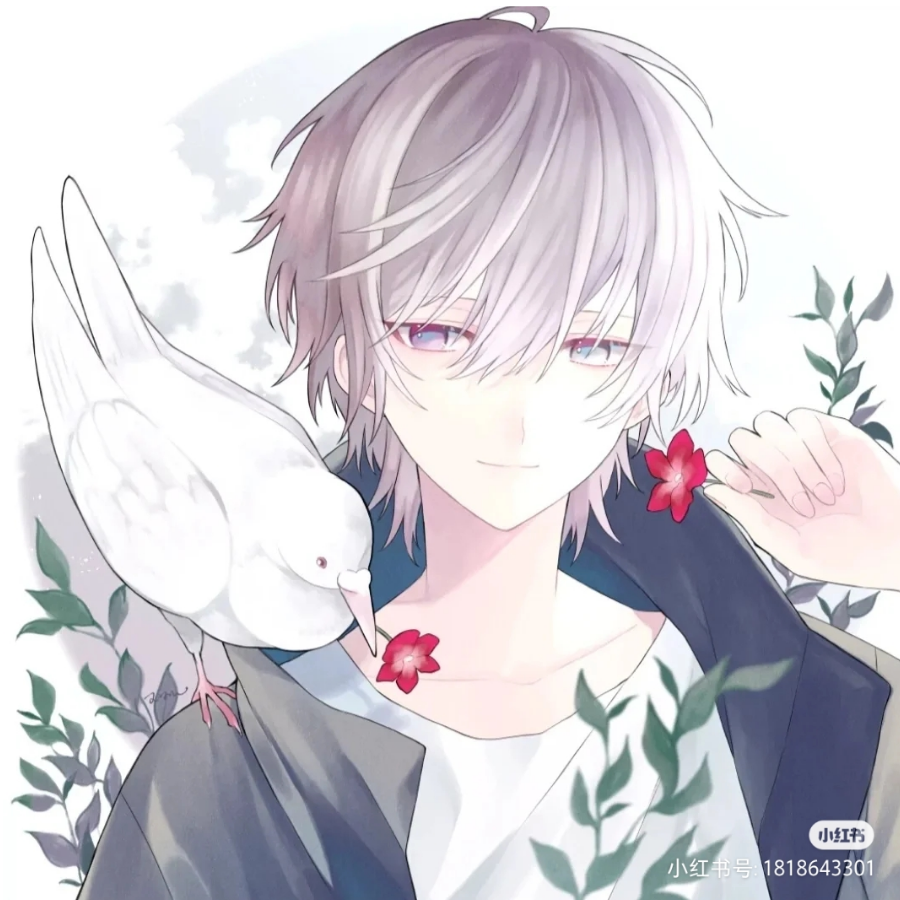 慕辞