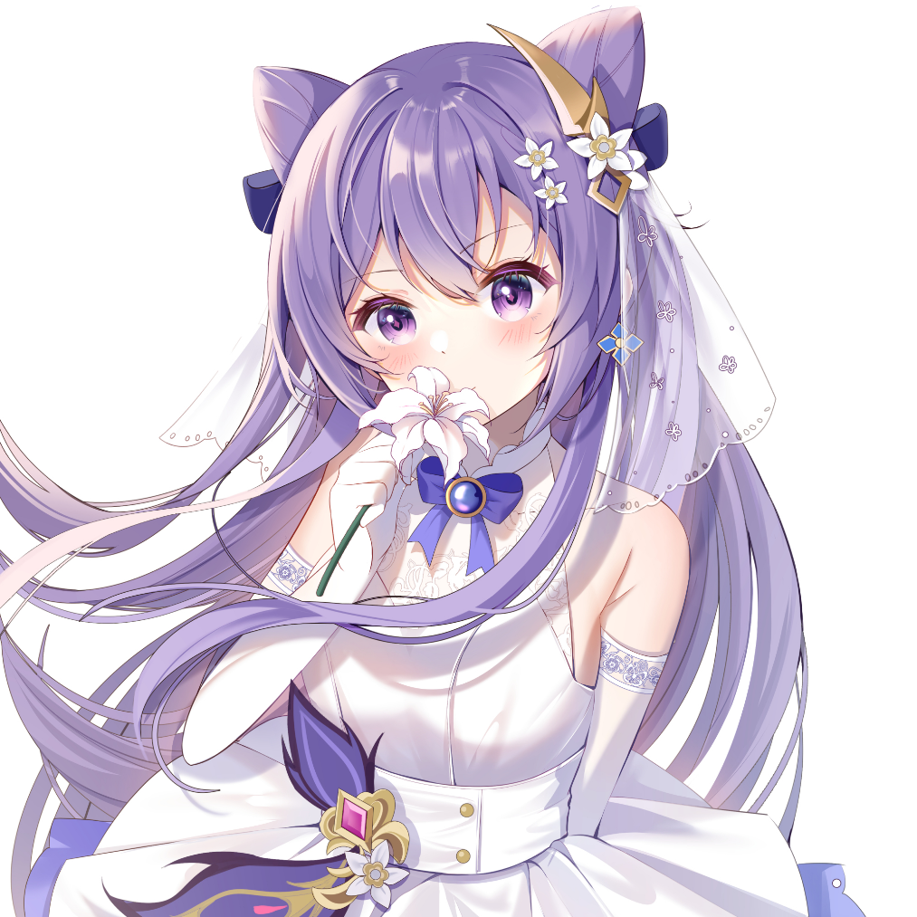 余梦氵