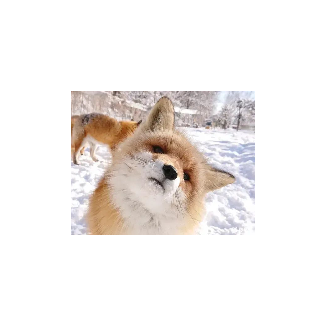 寄