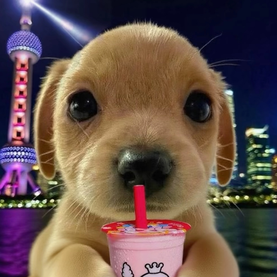 雨
