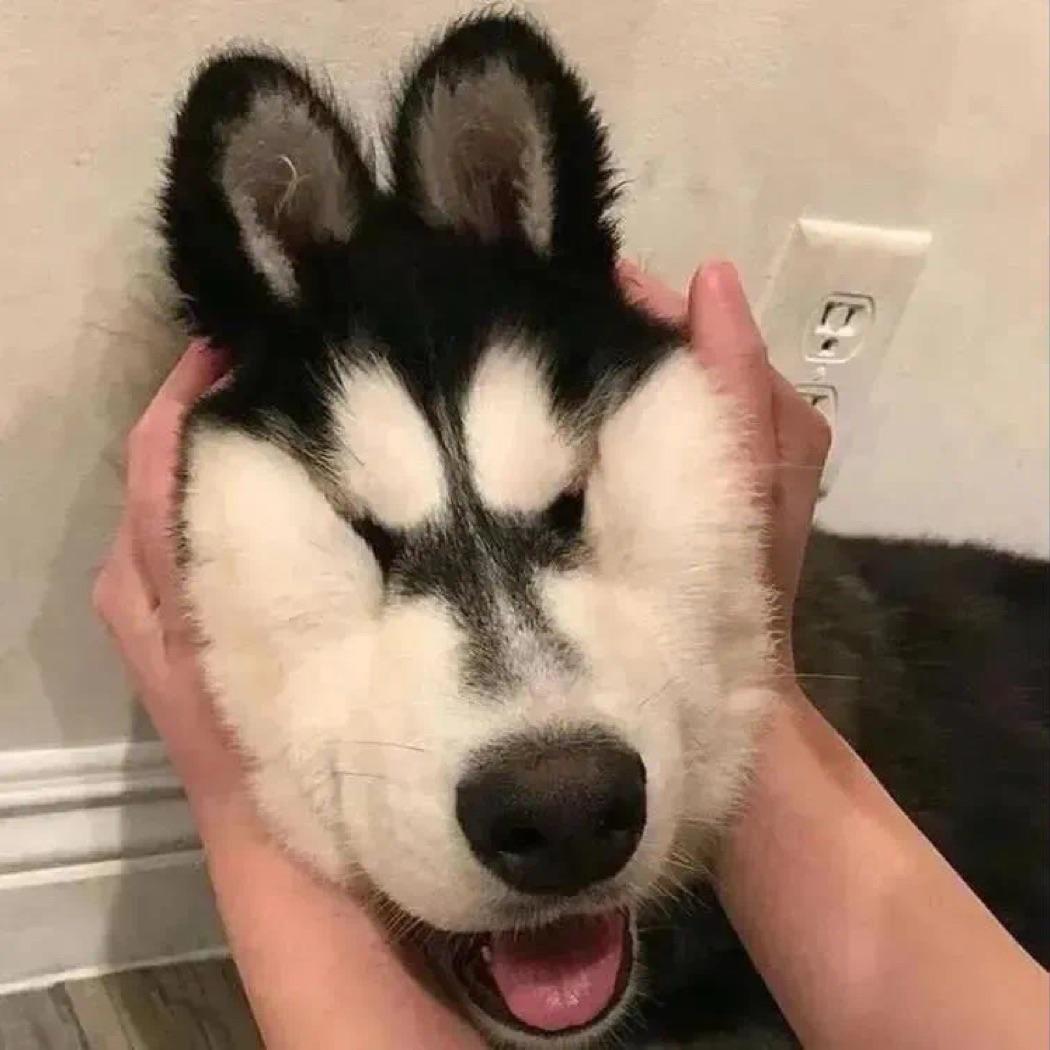 迷梦