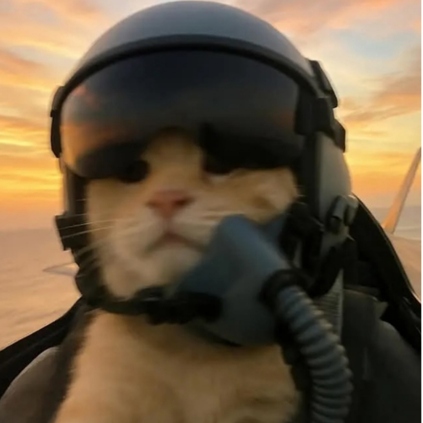 舔猫