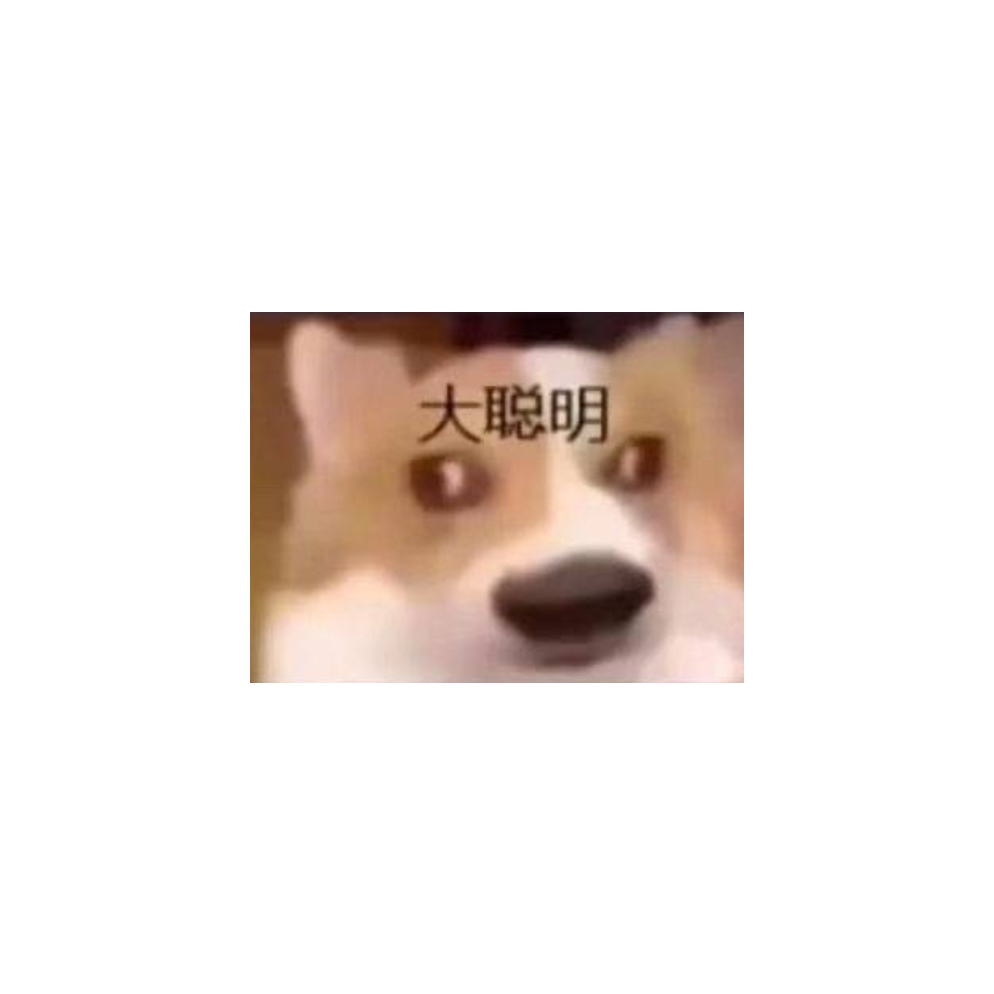 胖虎