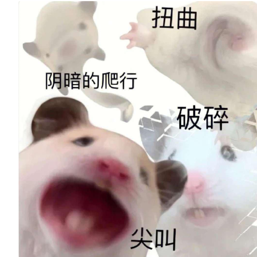 游梦寻知音