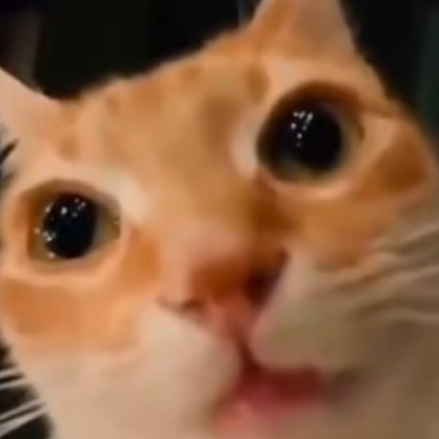 李其扬