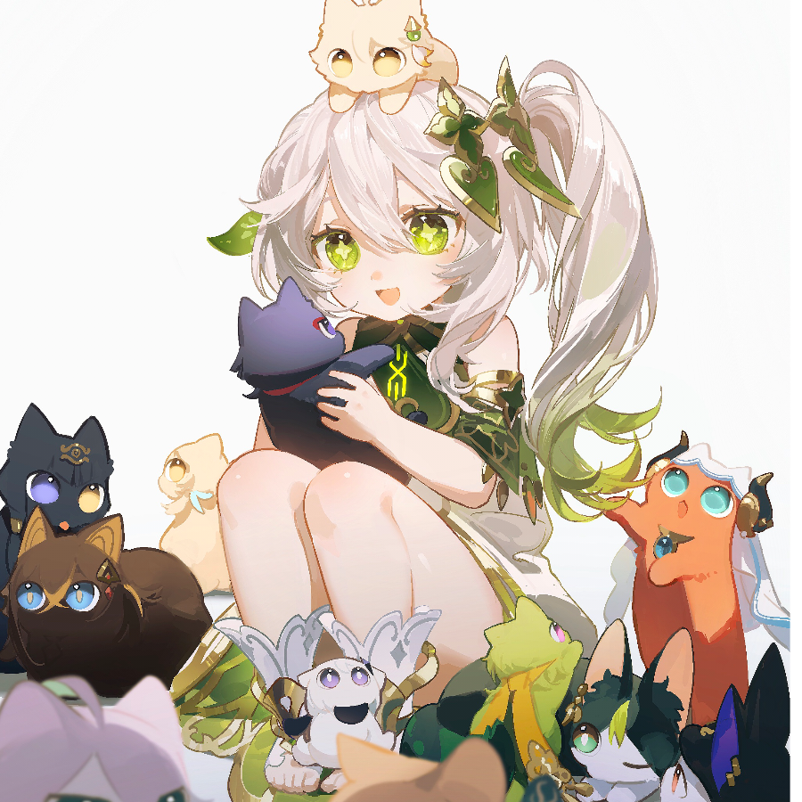 User70990637