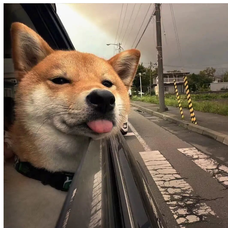 朝廷在逃皇帝
