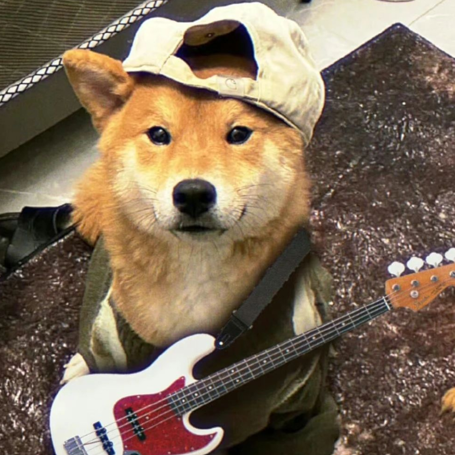 今天也要喝粥呀