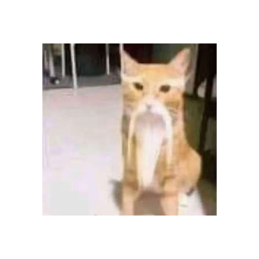 黑子