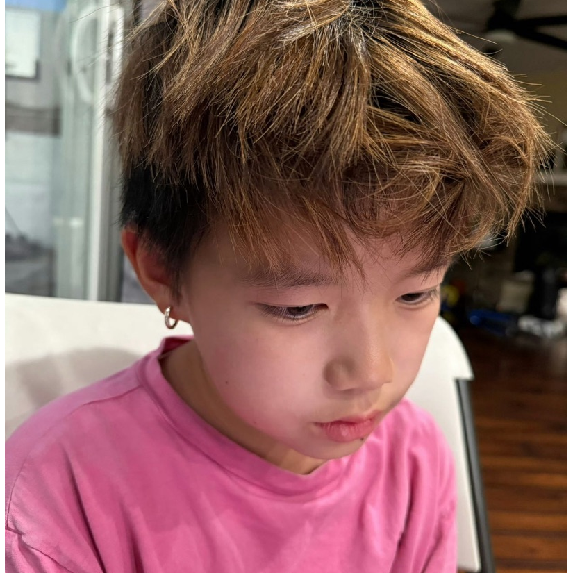 我是一只臭猫