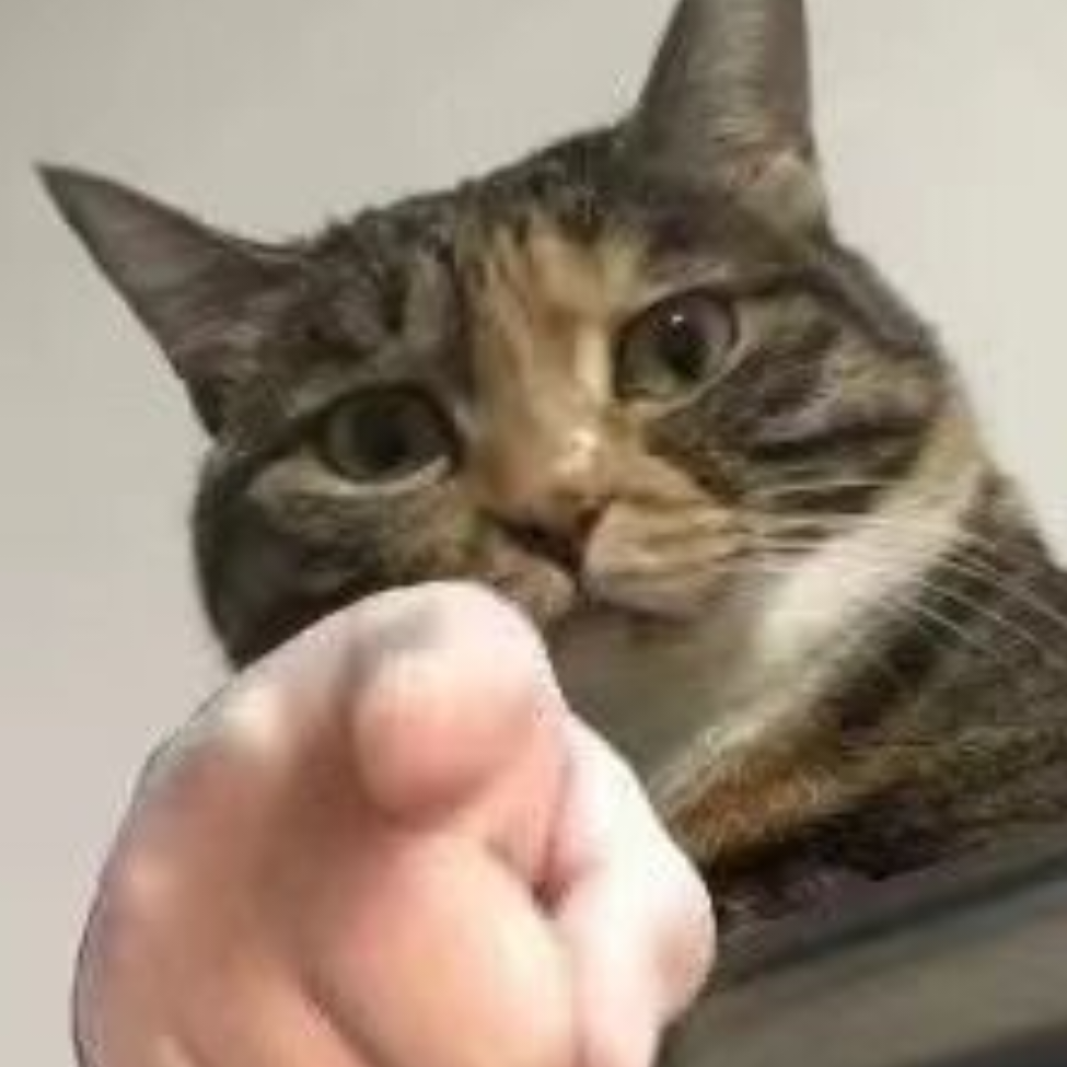 花白猫
