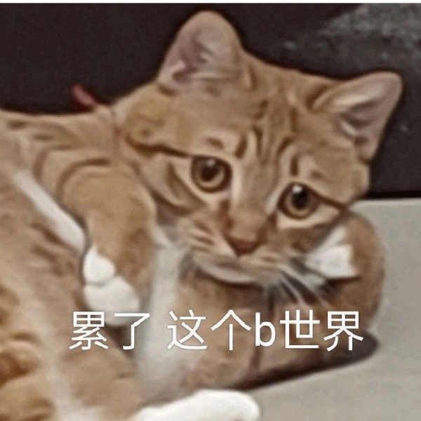 葵