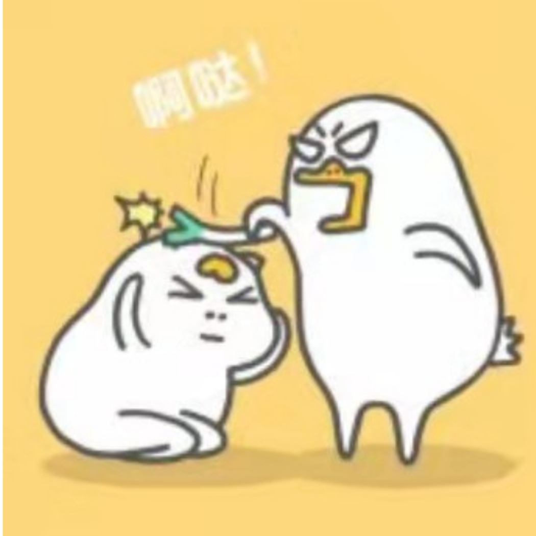毛驴的猫