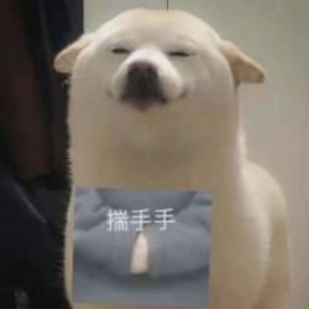 憨包大人不要踩了