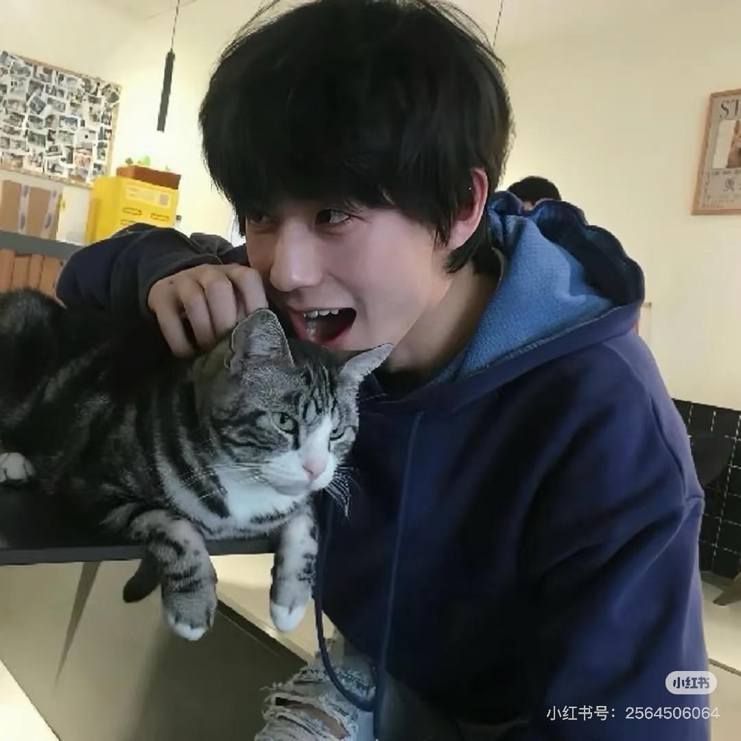 别看我眼睛