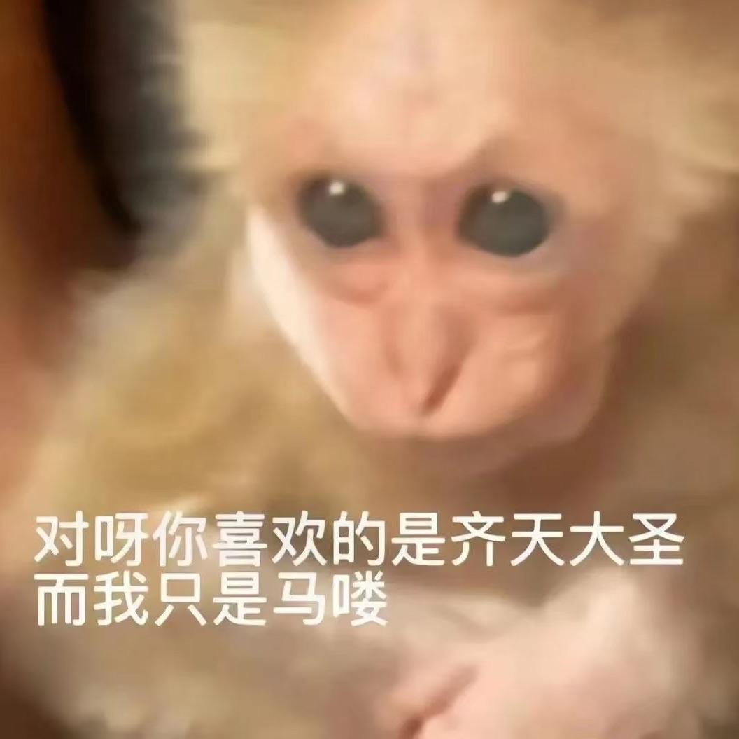 飒爽的御主