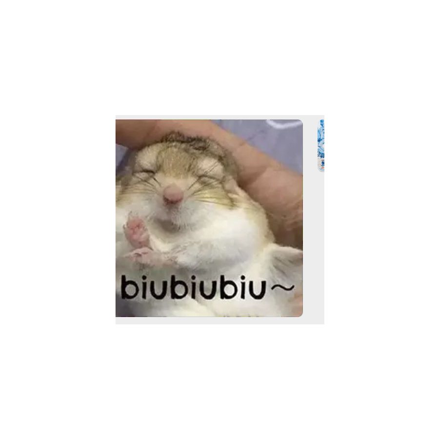 小狄