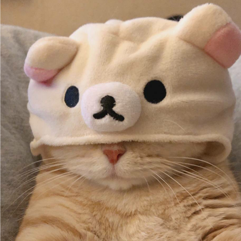 欸嘿