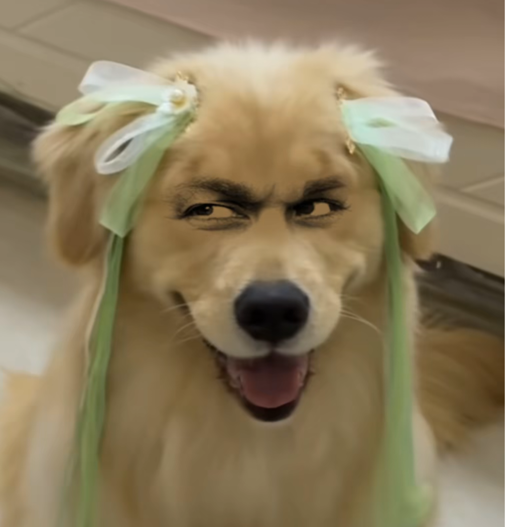 星