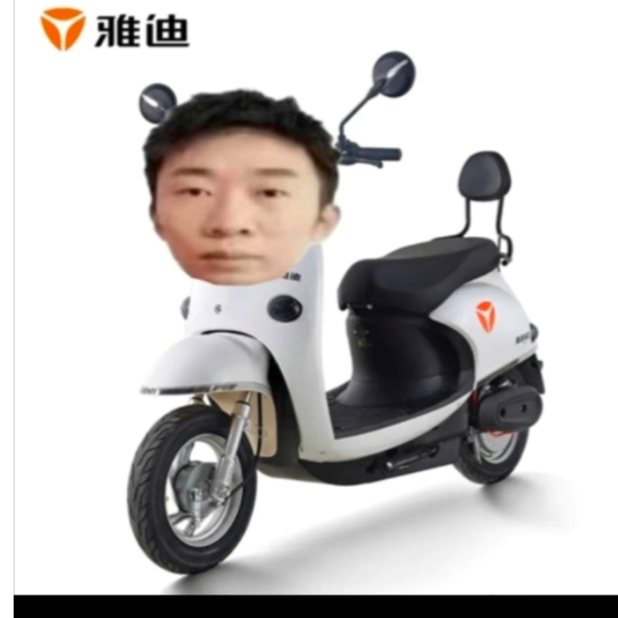 杨迪电动车