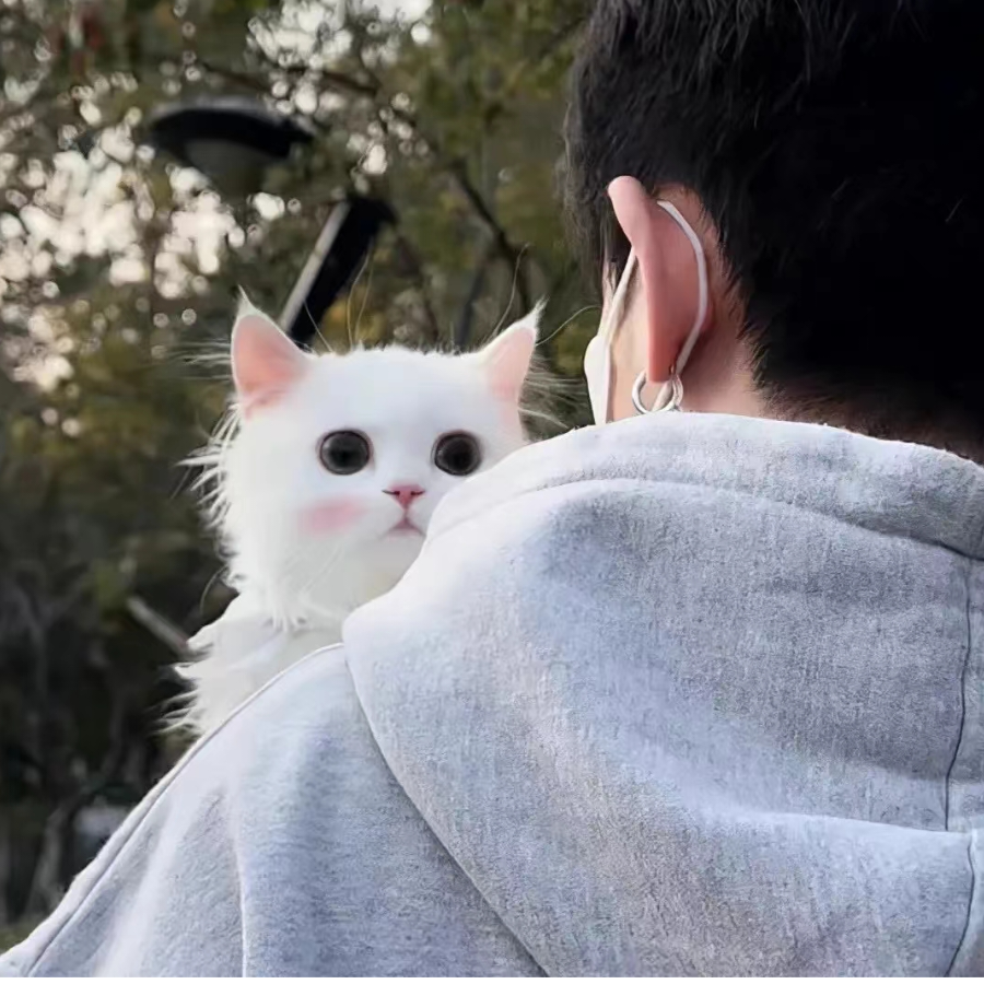 派总