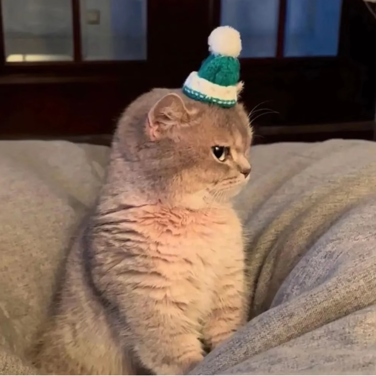 李